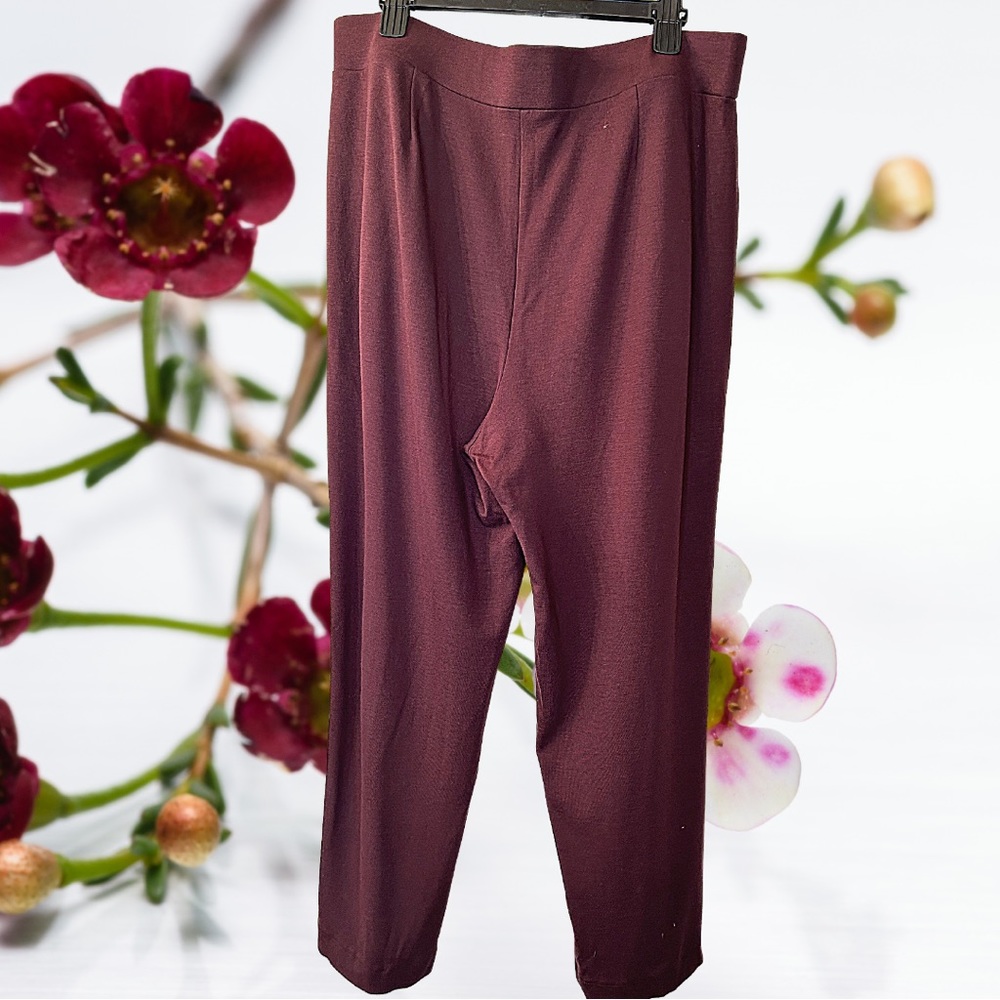 Women’s LOFT Maroon Capri Pants US Size XL